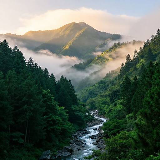 Photograph of a misty, sunlit mountain valley with a flowing river, dense evergreen forest, and a bright sunrise illuminating the peaks.