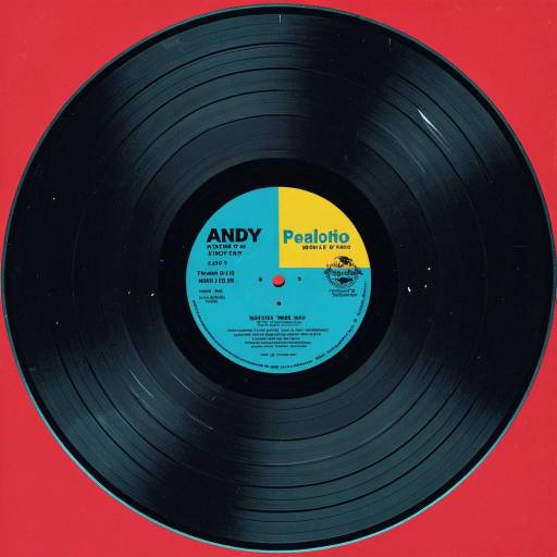 Vintage Vinyl Record with Andy Warhol Style Label
