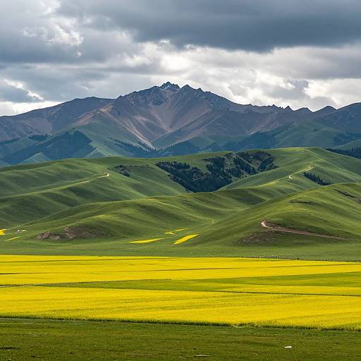 Vast Picturesque Landscape with Mountains