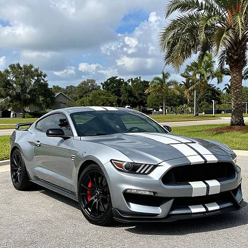 Used 2015 Ford Mustang Shelby GT350