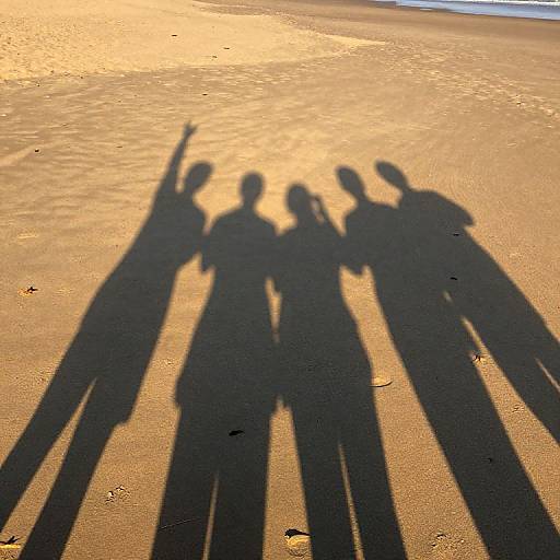 Photograph of five silhouetted people standing on a sandy beach at sunset, casting long shadows with one person raising their arm.