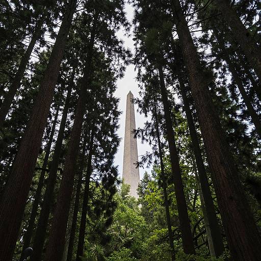 Dreamy Forest with Towering Obelisk