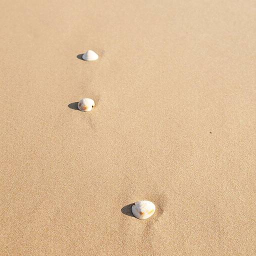 Minimalist Sandy Peninsula at Golden Hour