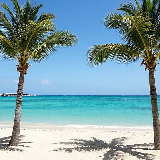 Serene Luxury Oasis in Endless Summer