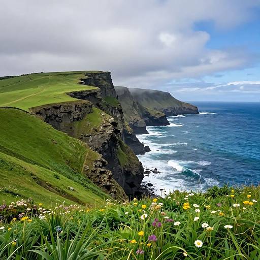 Photograph of a dramatic coastal cliff with lush green grass, colorful wildflowers, and crashing ocean waves under a cloudy blue sky.