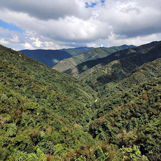 Vibrant Mountainous Landscape