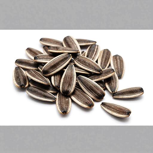 Photograph of a pile of dark brown and white striped sunflower seeds on a plain white background, bordered by gray.