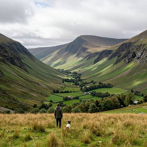 Photograph of a lone person with a dog standing in a grassy meadow, overlooking a lush, green valley with rolling hills and scattered houses under