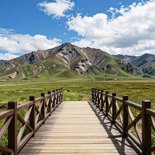Wooden Bridge Leading to Mountain Field