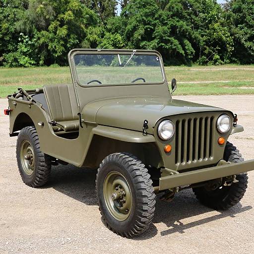 1955 Willys Military Jeep For Sale