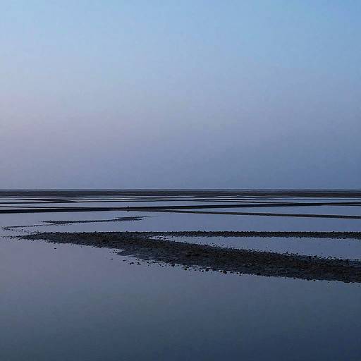 Minimalist Floodplain Lagoon Abstraction