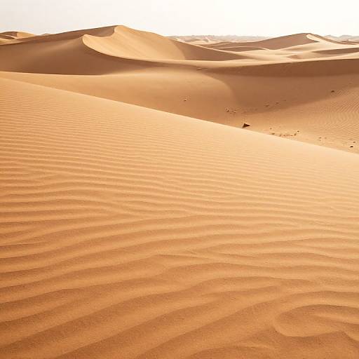 Shimmering Desert Dunes Memories