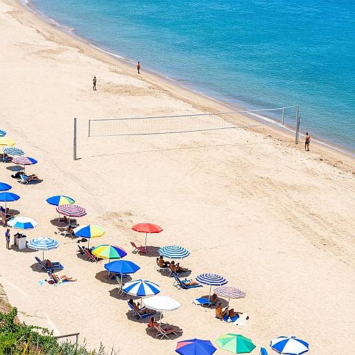 Lively Top-Down Beach Scene