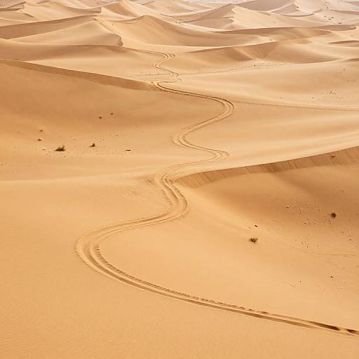 Gravity-Defying Serpentine River in Desert