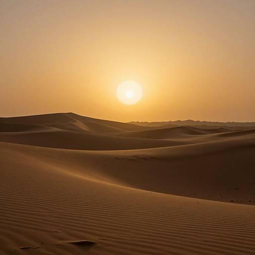 Photograph of a golden sunset over rippled, sandy desert dunes with soft shadows and warm hues, creating a serene, tranquil landscape.