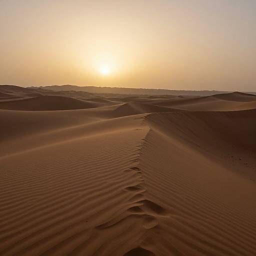 Photograph of a desert sunset with golden light, ridged sand dunes, and a clear sky. Warm hues dominate the scene.