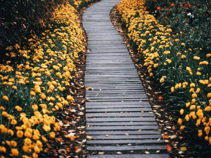 Autumn Pathway with Colorful Flowers