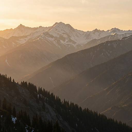 Photograph of a mountain range at sunset, with snow-capped peaks glowing in warm orange light, dark forested slopes in foreground.