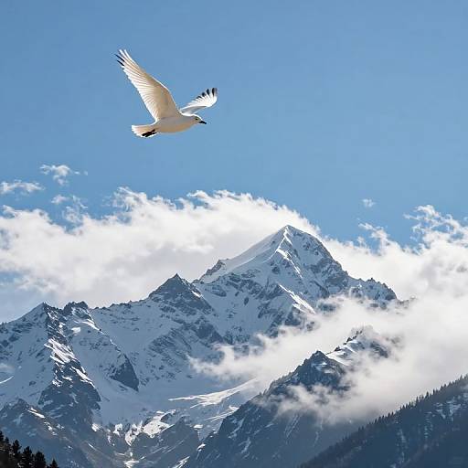 Majestic Snow-Capped Mountains with Soaring Bird