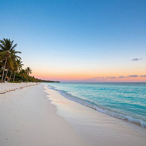 Serene Turquoise Beach Panoramic View