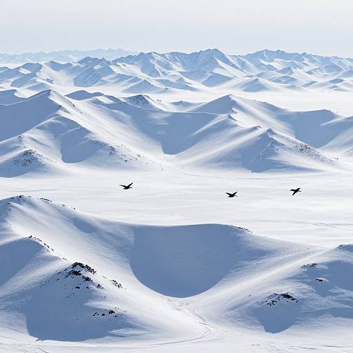 Origami Mountains with Gliding Birds