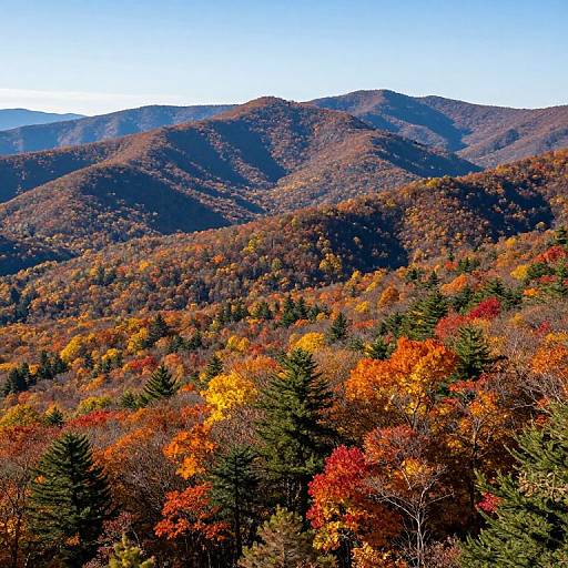 2018 Fall Colors Blue Ridge Parkway