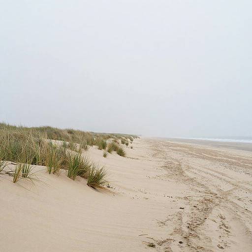 Minimalist Coastal Sandy Peninsula Morning