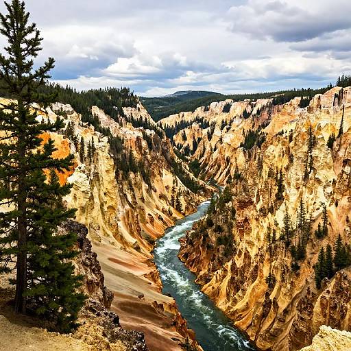 Vibrant Grand Canyon Yellowstone Landscape