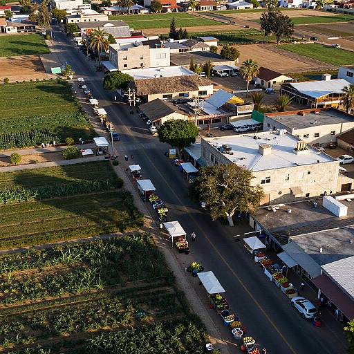 Aerial View of Salinas City and Fields