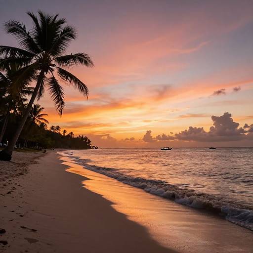 Photograph of a tropical beach at sunset, with silhouetted palm trees, orange and purple sky, gentle waves, and a small boat on