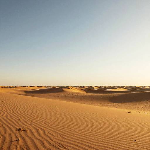 Golden Hour Sandy Mesas Minimalism