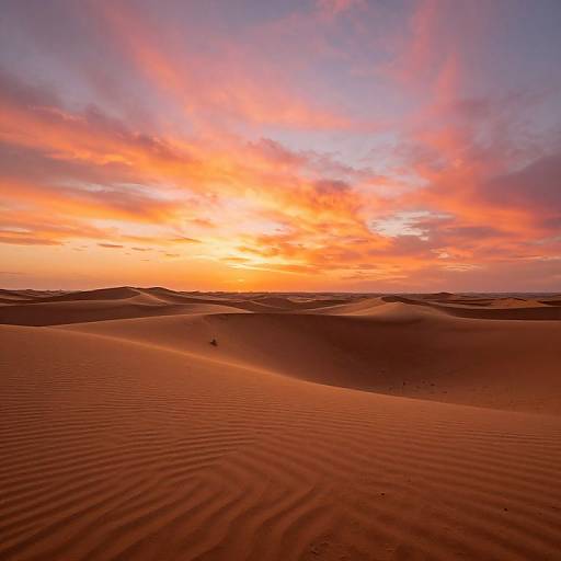 Sunset Over Endless Desert Dunes