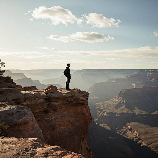 Silhouette on Misty Canyon Cliff