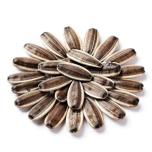 Close-Up of Dark Sunflower Seeds