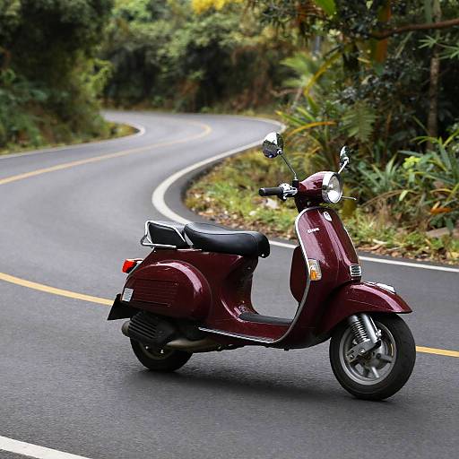 Photograph of a maroon scooter with black seat, riding on a winding, tree-lined road with yellow center lines.