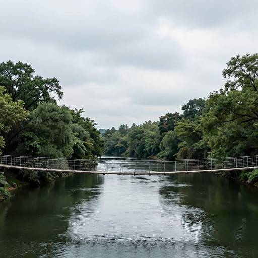 Serene Suspension Bridge in Nature