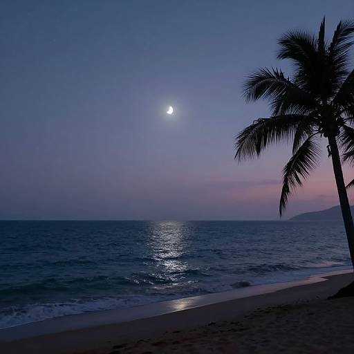 Photograph of a serene beach at twilight, featuring a silhouetted palm tree, moonlit ocean, and a reflective shoreline.