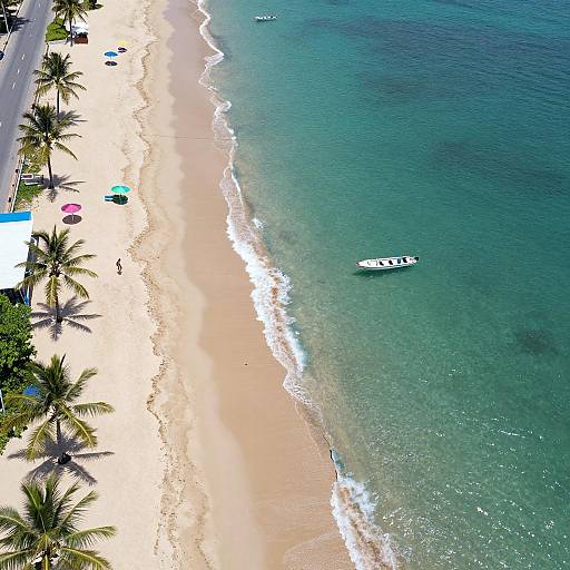 Aerial View of Vibrant Tropical Beach
