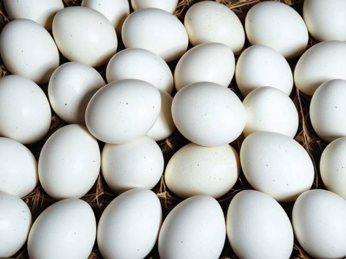 Close-Up of Pile of Eggs Wallpaper