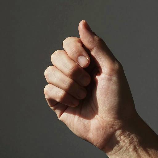 Photorealistic Masterpiece of a Hand