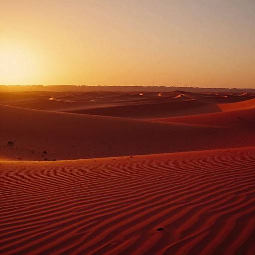 Photograph of a vast, sunlit desert with rippled red sand dunes under a golden-orange sunset sky. Ripples create a textured pattern in
