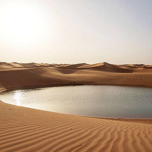 Serene Arabian Desert Landscape