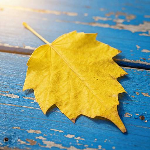 Photograph of a bright yellow autumn leaf lying on a weathered, blue wooden surface with peeling paint, bathed in sunlight.