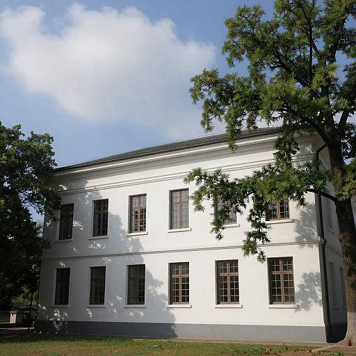White classical building framed by trees