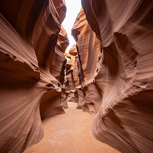 Photograph of Antelope Canyon's narrow, winding, sandstone walls with smooth, undulating textures in warm red and orange hues, illuminated by sunlight