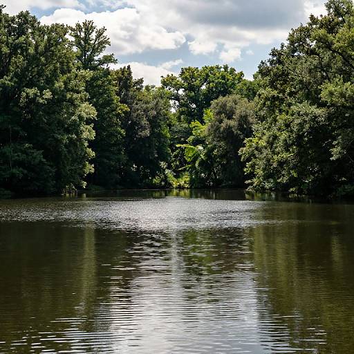 Photograph of a tranquil, reflective lake surrounded by dense, green trees under a partly cloudy sky, with sunlight shimmering on the water's surface.