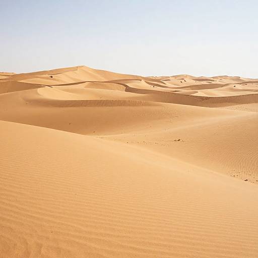 Endless Golden Desert Sand Dunes