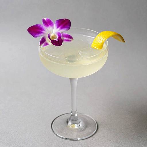 Frosted Coupe Elderflower Spritz Art