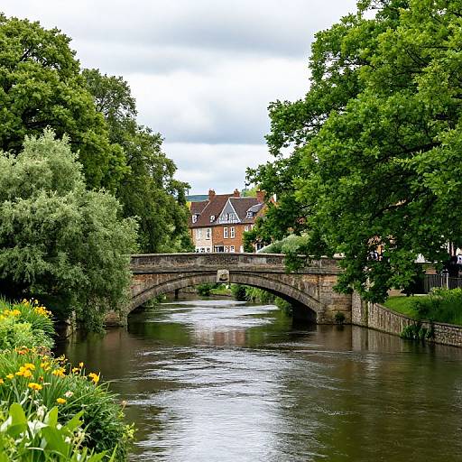 Serene River Landscape with Stone Bridge