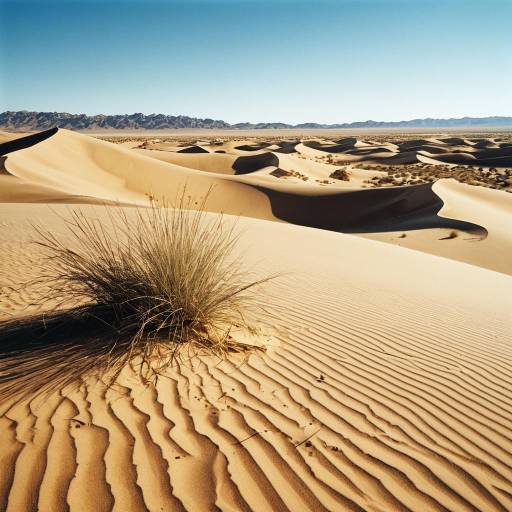 Golden Sand Dunes Desert Landscape
